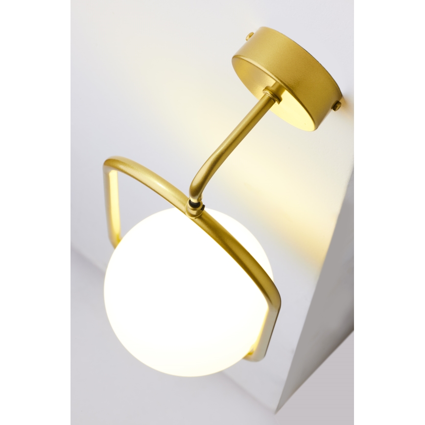 Jupiter 2043 - Candeeiro de parede IGON 1xE14/40W/230V dourado
