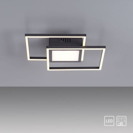 JUST LIGHT. 14144-18 - Iluminação de teto LED ASMIN LED/26W/230V
