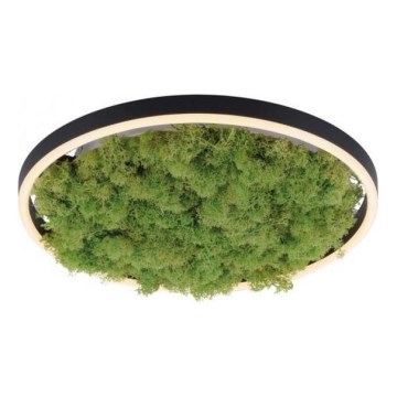 JUST LIGHT. 15391-66 - Iluminação de teto LED com regulação VERDE RITU LED/20W/230V