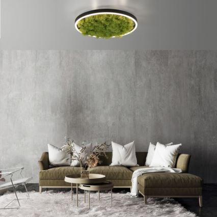 JUST LIGHT. 15391-66 - Iluminação de teto LED com regulação VERDE RITU LED/20W/230V