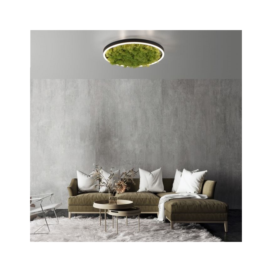 JUST LIGHT. 15391-66 - Iluminação de teto LED com regulação VERDE RITU LED/20W/230V