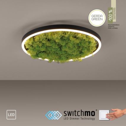 JUST LIGHT. 15391-66 - Iluminação de teto LED com regulação VERDE RITU LED/20W/230V