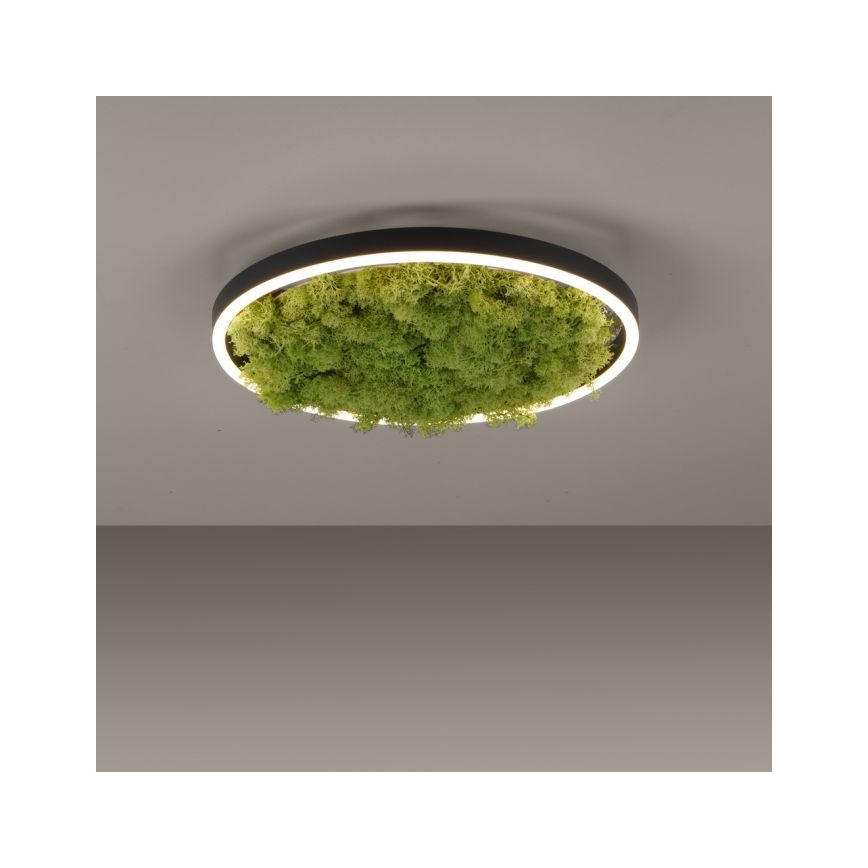 JUST LIGHT. 15391-66 - Iluminação de teto LED com regulação VERDE RITU LED/20W/230V