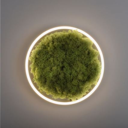 JUST LIGHT. 15391-66 - Iluminação de teto LED com regulação VERDE RITU LED/20W/230V