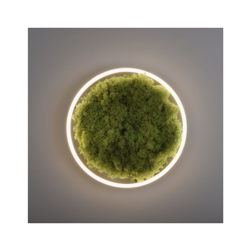 JUST LIGHT. 15391-66 - Iluminação de teto LED com regulação VERDE RITU LED/20W/230V