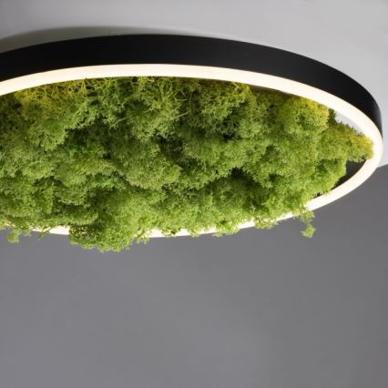 JUST LIGHT. 15391-66 - Iluminação de teto LED com regulação VERDE RITU LED/20W/230V