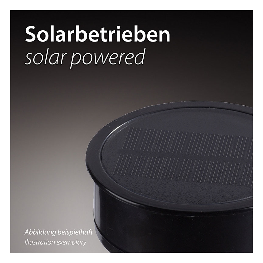 JUST LIGHT. 19106-18-3 - CONJUNTO 3x Iluminação solar LED FACKEL LED/0,24W/3,7V IP44 preto