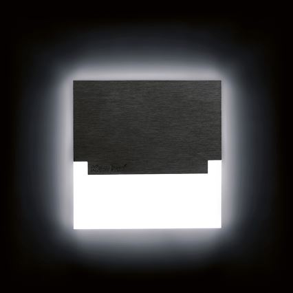 Luz noturna LED 1xLED/0,8W/12V