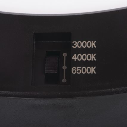 Candeeiro de teto LED com sensor de movimento 2em1 ERGA LED/17W/230V 3000/4000/6500K preto