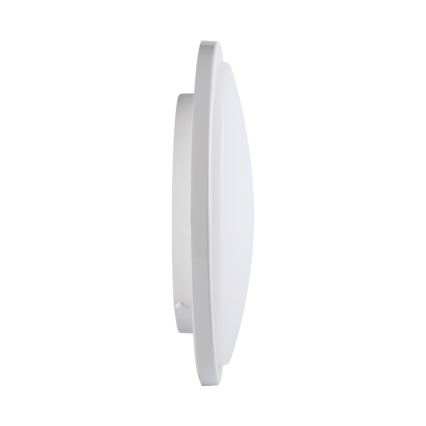 Iluminação de teto de casa de banho LED ORTE LED/24W/230V IP54