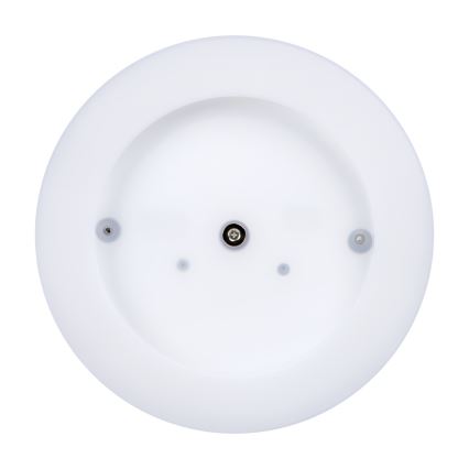 Iluminação de teto exterior LED TURA LED/24W/230V 4000K IP54 preto