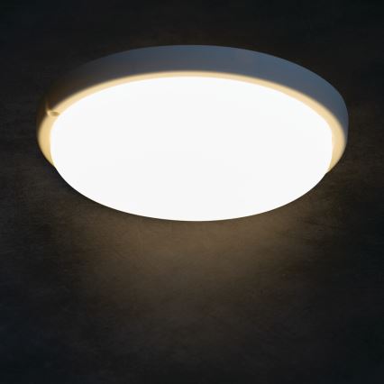 Iluminação de teto para casa de banho LED TOLU LED/18W/230V 4000K IP54 branco