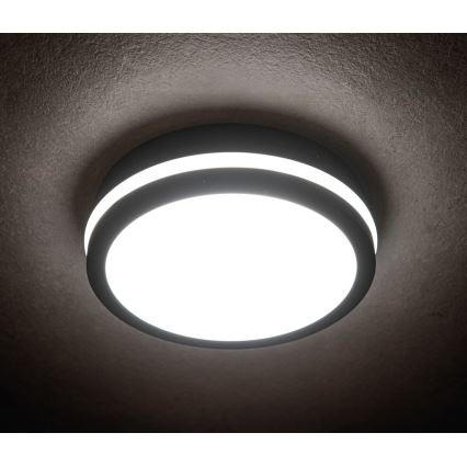 Iluminação exterior LED com sensor BENO LED/18W/230V 4000K antracite IP54