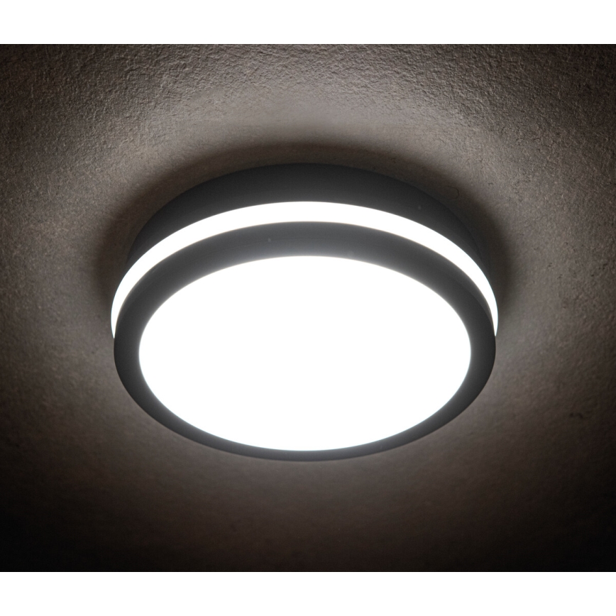 Iluminação exterior LED com sensor BENO LED/18W/230V 4000K antracite IP54