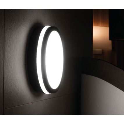 Iluminação exterior LED com sensor BENO LED/18W/230V 4000K antracite IP54