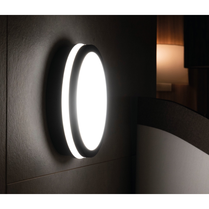 Iluminação exterior LED com sensor BENO LED/18W/230V 4000K antracite IP54