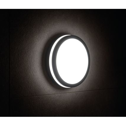 Iluminação exterior LED com sensor BENO LED/18W/230V 4000K antracite IP54