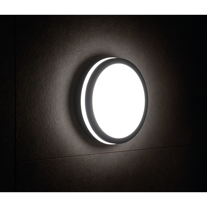 Iluminação exterior LED com sensor BENO LED/18W/230V 4000K antracite IP54