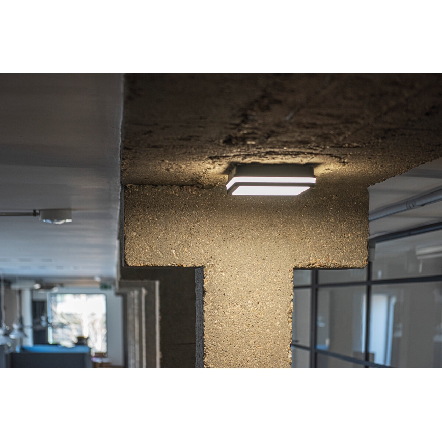 Iluminação exterior LED com sensor BENO LED/18W/230V 4000K IP54 antracite