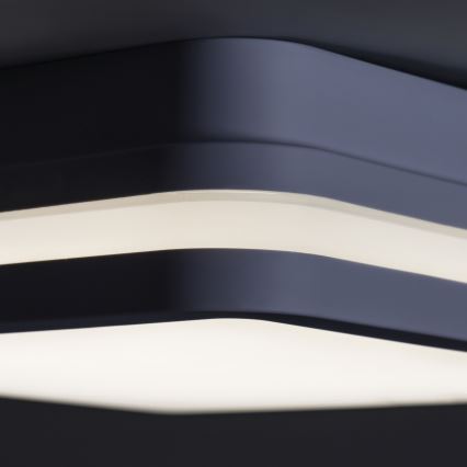 Iluminação exterior LED com sensor BENO LED/18W/230V 4000K IP54 antracite