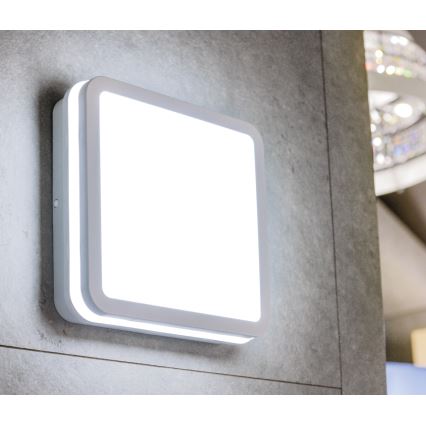 Iluminação de teto exterior LED com sensor BENO LED/24W/230V branca IP54