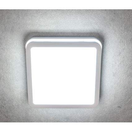 Iluminação de teto exterior LED com sensor BENO LED/24W/230V branca IP54