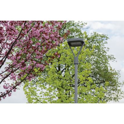 Candeeiro público LED PARCOLI LED/30/40/50W/230V 3000/4000/6500K IP66 cinzento