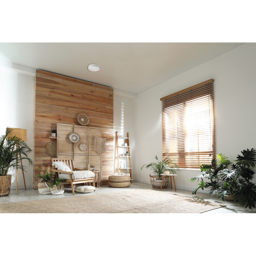 Iluminação de teto LED RIFA LED/17,5W/230V 4000K branco