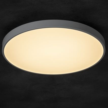 Iluminação de teto LED com regulação PLAFON LED/20W/230V 3000-6500K Wi-Fi branco