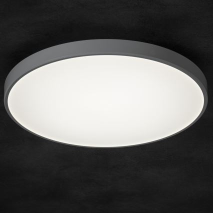 Iluminação de teto LED com regulação PLAFON LED/20W/230V 3000-6500K Wi-Fi branco