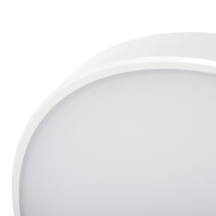 Iluminação de teto LED com regulação PLAFON LED/20W/230V 3000-6500K Wi-Fi branco