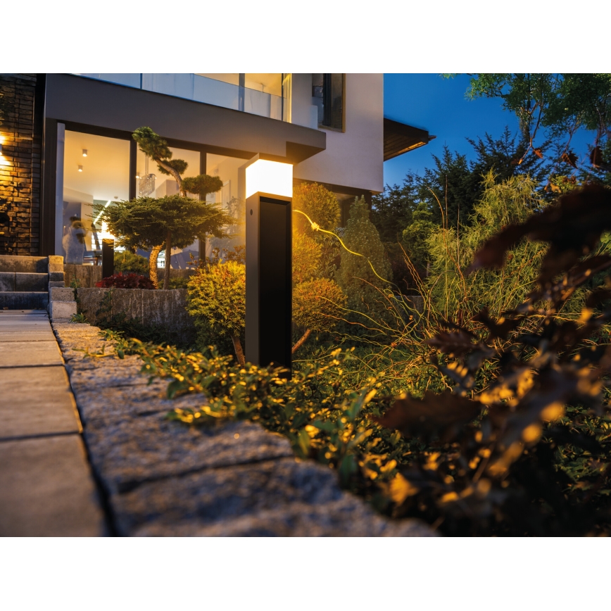 Candeeiro exterior DASTEN 1xG9/11W/230V 30 cm IP44 preto