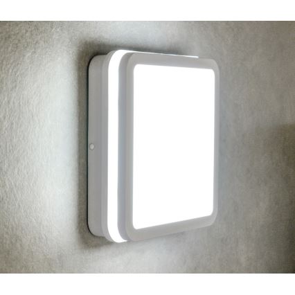 Iluminação de teto exterior LED com sensor de movimento BENO LED/12/18W/230V 3000/3500/4000K IP65 branco angular