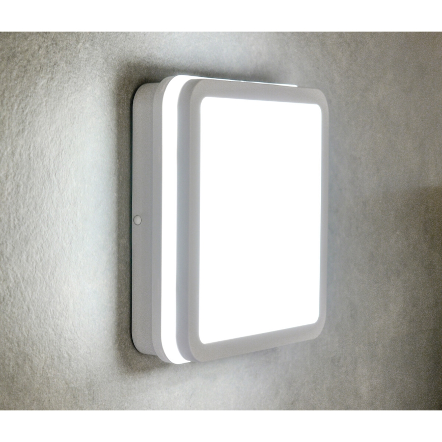 Iluminação de teto exterior LED com sensor de movimento BENO LED/12/18W/230V 3000/3500/4000K IP65 branco angular