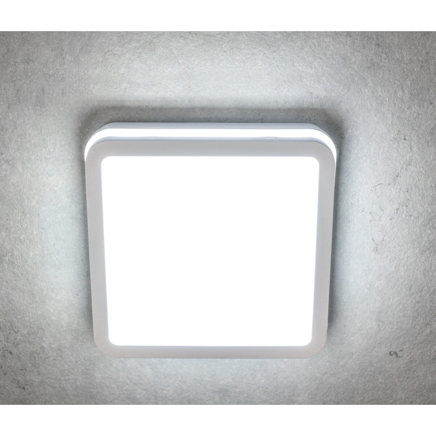 Iluminação de teto exterior LED com sensor de movimento BENO LED/12/18W/230V 3000/3500/4000K IP65 branco angular