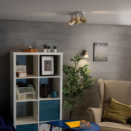 Foco de parede LAURIN 1xGU10/10W/230V latão/preto