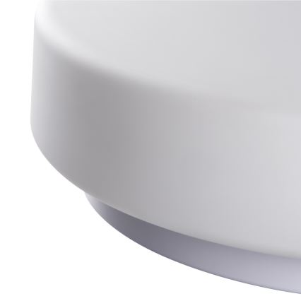 Iluminação de teto de casa de banho PERAZ 1xE27/60W/230V d. 30 cm IP44