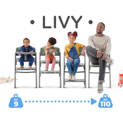 KINDERKRAFT SELECT - Cadeira de refeição para criança 3em1 LIVY Premium Aster rosa