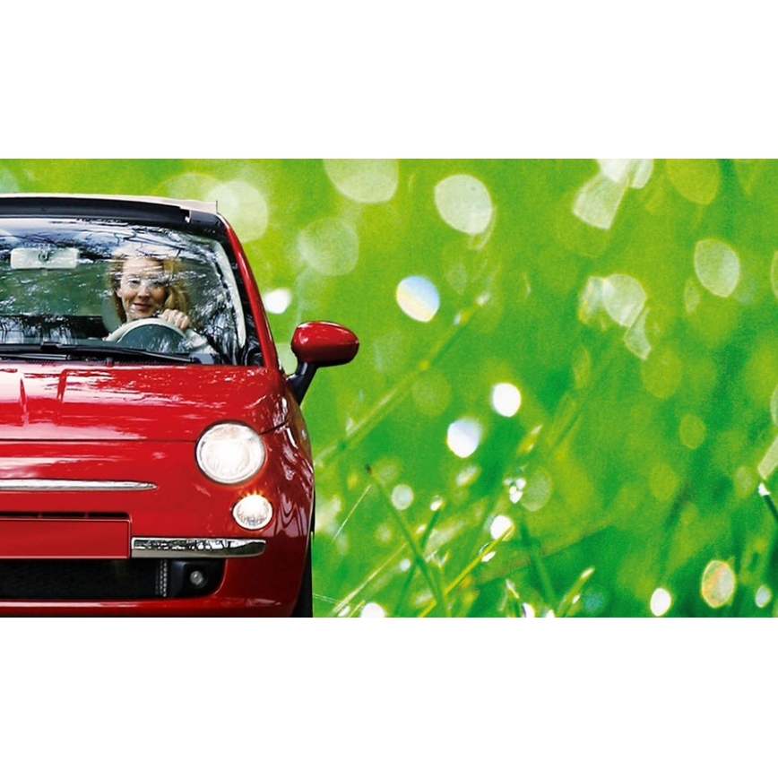 Lâmpada de carro Philips ECOVISION 12972LLECOB1 H7 PX26d/55W/12V