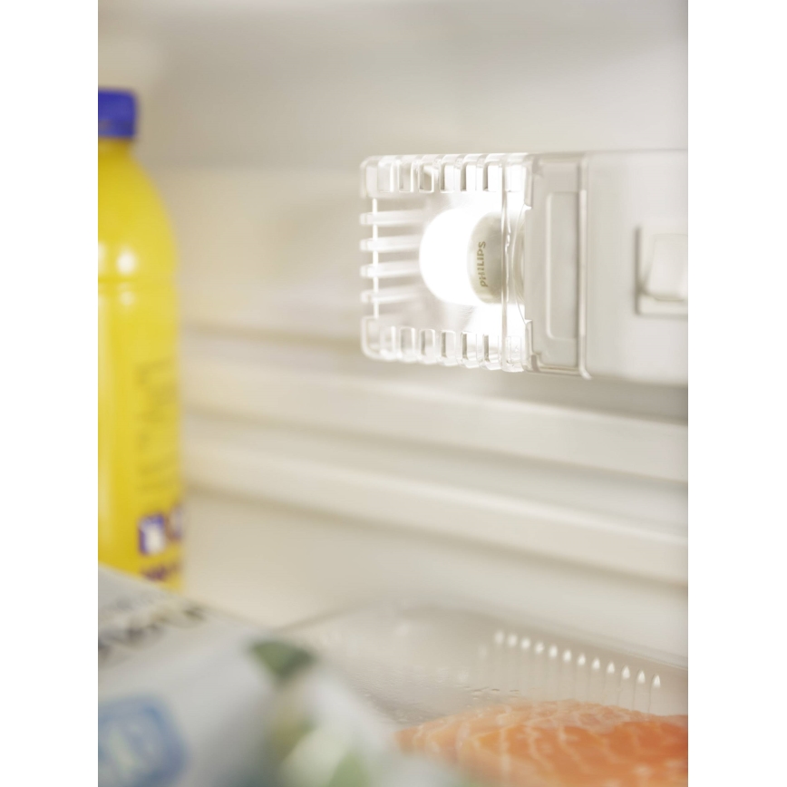 Lâmpada de frigorífico LED Philips E14/3,2W/230V 2700K
