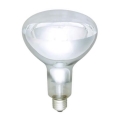 Lâmpada de infra E27/250W/230V