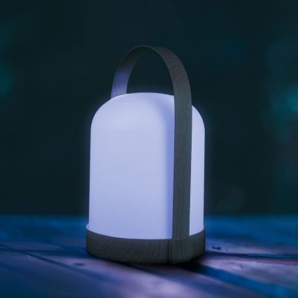 Lâmpada de mesa decorativa LED RGBW MINORKA LED/0,3W/4,5V 3xAA