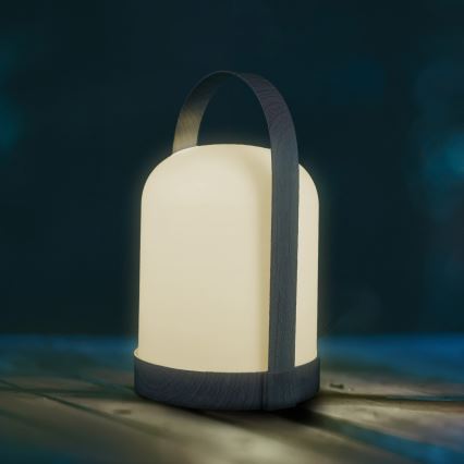 Lâmpada de mesa decorativa LED RGBW MINORKA LED/0,3W/4,5V 3xAA