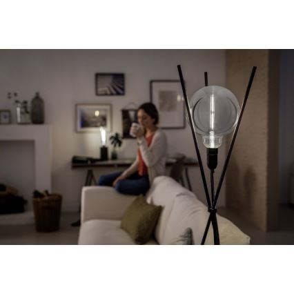 Lâmpada fosca LED SMOKY VINTAGE Philips G200 E27/6,5W/230V 4000K