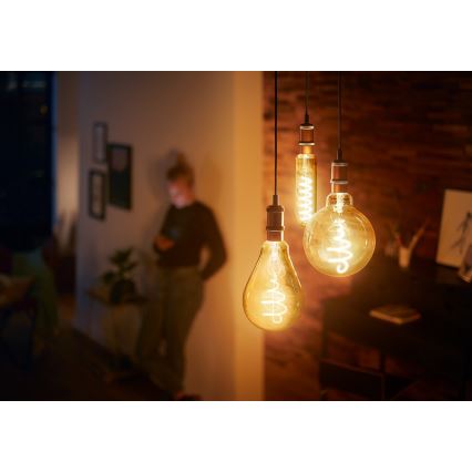 Lâmpada fosca LED VINTAGE Philips A160 E27/6,5W/230V 2000K