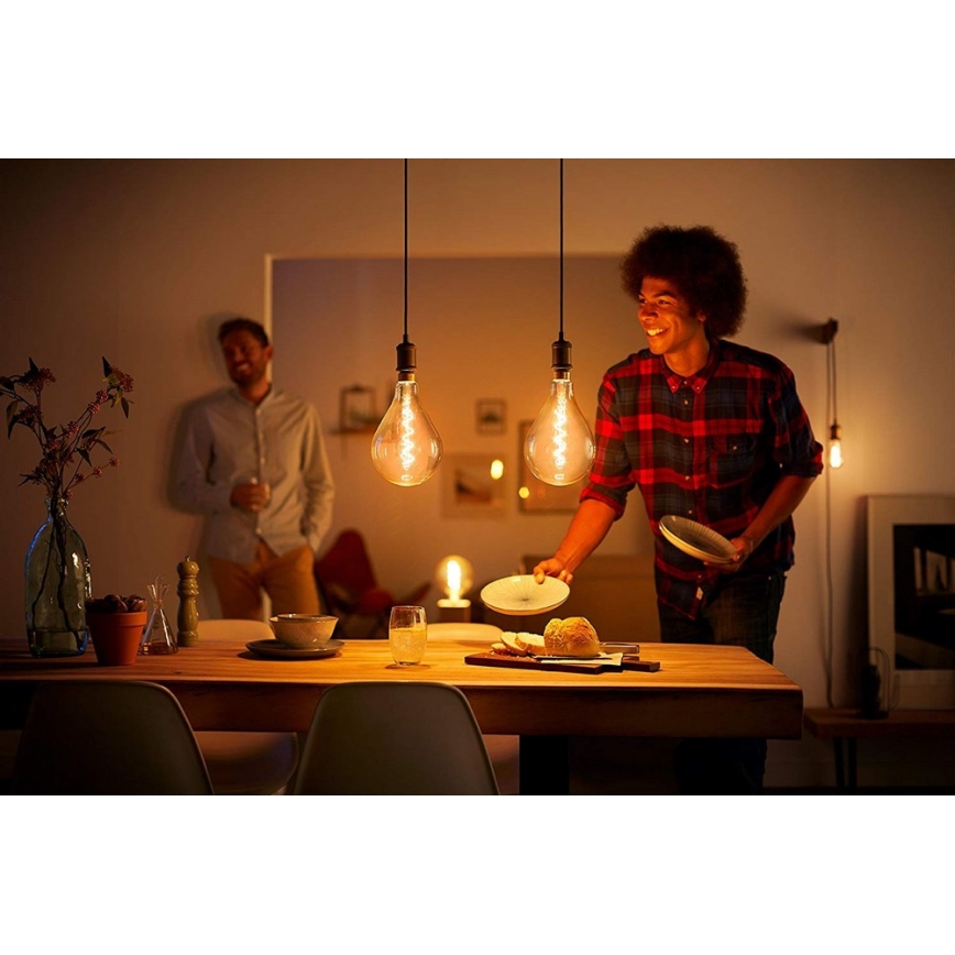 Lâmpada fosca LED VINTAGE Philips A160 E27/6,5W/230V 2000K