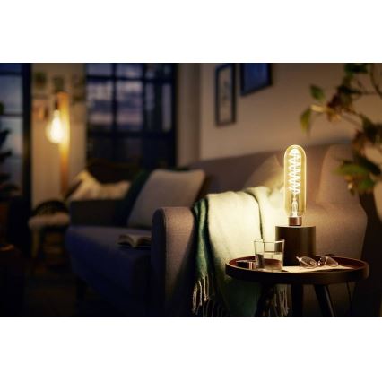 Lâmpada fosca LED VINTAGE Philips T65 E27/6,5W/230V 2000K