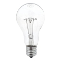 Lâmpada industrial A70 E27/200W/230V 2700K