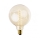 Lâmpada industrial decorativa com regulação SELRED G125 E27/60W/230V 2200K 260 lm