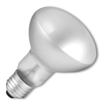 Lâmpada industrial E14/40W/230V